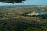 Flug über das Okavango Delta