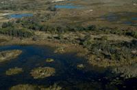 Flug über das Okavango Delta