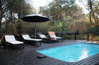 Maun - Royal Tree Lodge 