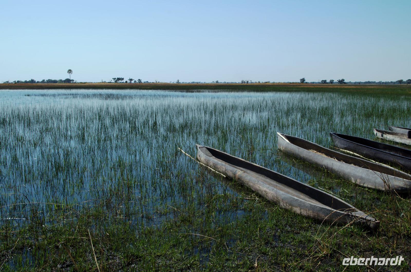 Okavango Delta - mit Mokoros unterwegs