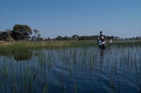 Okavango Delta - mit Mokoros unterwegs