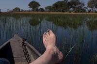 Okavango Delta - mit Mokoros unterwegs