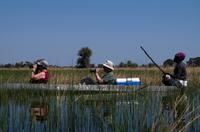 Okavango Delta - mit Mokoros unterwegs