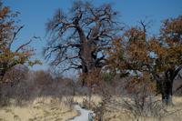 Mittagspause in der Planet Baobab Lodge