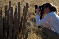 Heißbegehrtes Fotomotiv