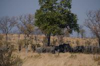 Die Schilder sind schon berechtigt