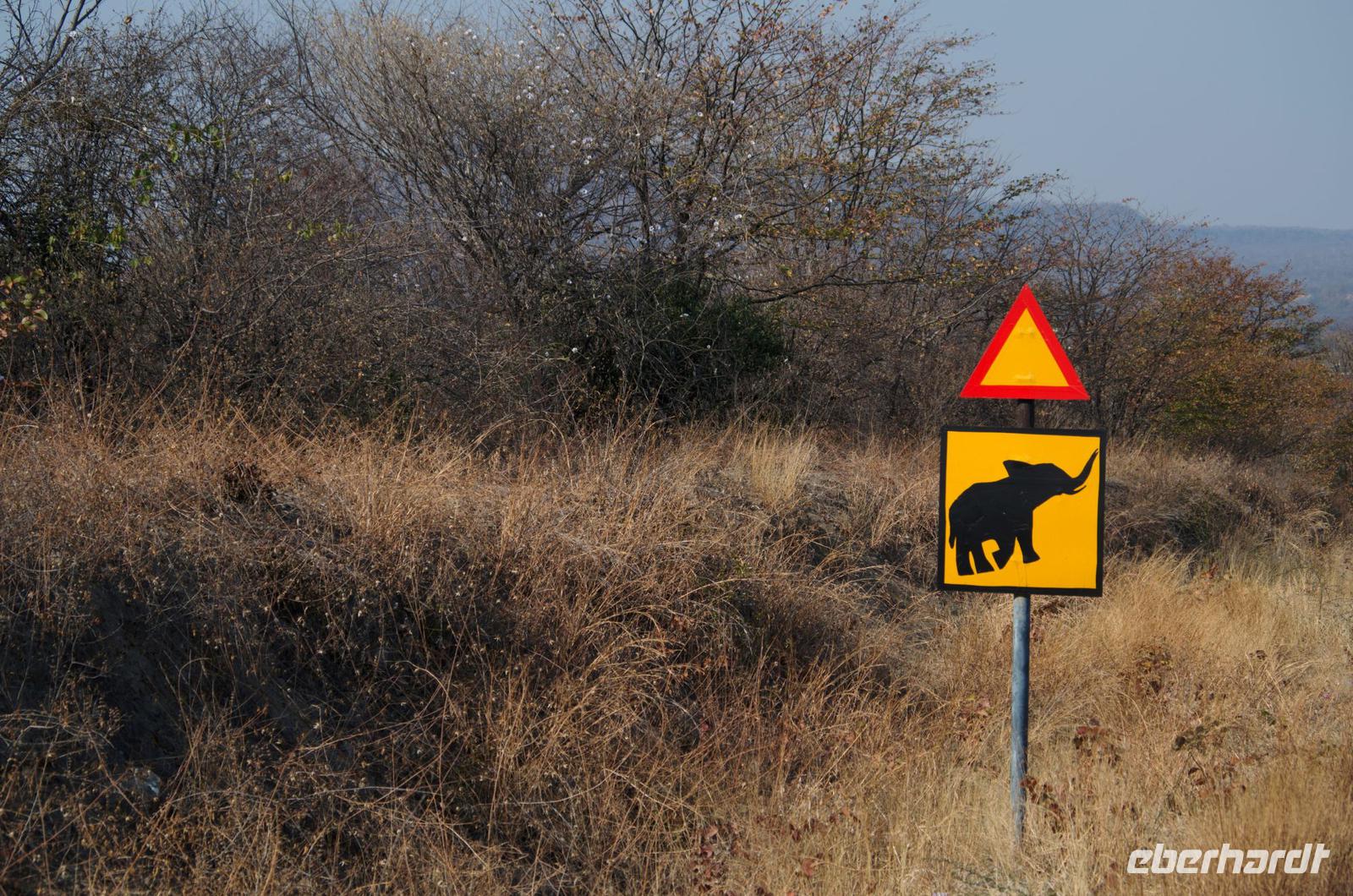 Pirschfahrt nach Hwange