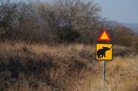 Pirschfahrt nach Hwange