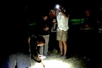 Abendliche Entdeckertour