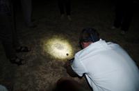 erst einmal gut ausleuchten...