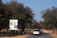 Hwange Nationalpark - Pirschfahrt