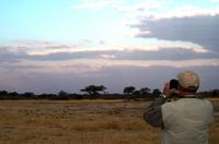 Hwange NP - Pirschfahrt