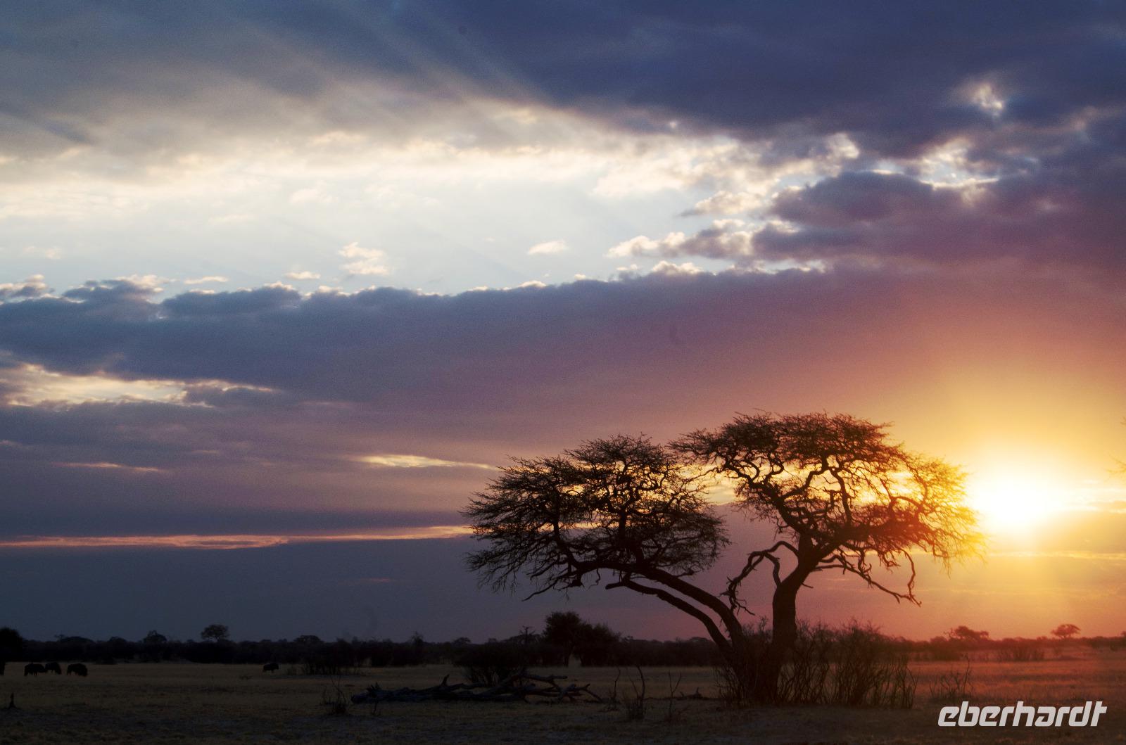 Hwange NP - Sonnenuntergang