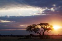 Hwange NP - Sonnenuntergang