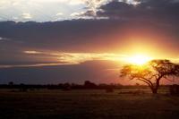 Hwange NP - Sonnenuntergang
