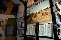 Painted Dog Conservation - Projekt zum Schutz der Wildhunde