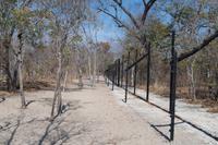 Painted Dog Conservation - Projekt zum Schutz der Wildhunde