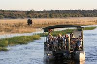 Auf dem Chobe