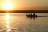 Sonnenuntergang am Chobe