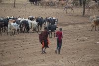 in der massai steppe