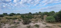 131 Bwabwata Nationalpark
