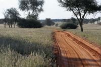 Auf zur Pirsch in die Kalahari