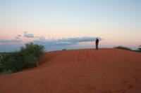 Dämmerung in der Kalahari