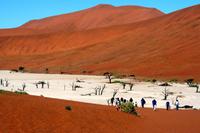 Wanderung ins Dead Vlei