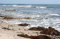 Atlantikküste in Swakopmund