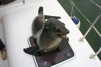 Lagunenfahrt in Walvis Bay