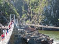 Tsitzikama NP Hängebrücke