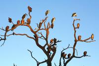 Was gibt es denn da zu schauen?