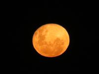 Mond in Misty Mountain