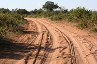 Im Chobe NP unterwegs