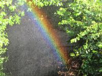 Vic Falls Sambia Regenbogen