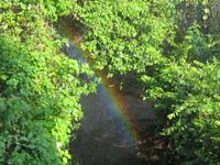 Vic Falls Sambia Regenbogen