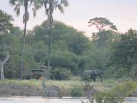 Sundowner Bootsfahrt Sambia