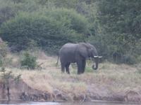 Sundowner Bootsfahrt Sambia