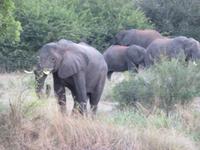 Sundowner Bootsfahrt Sambia