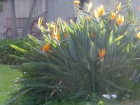 Voortrekker Monument