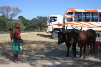 Durch den Caprivistreifen