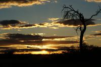 Sonnenuntergang in Otjiwarongo/Namibia