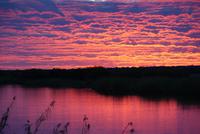 wunderschöner Sonnenuntergang auf der Hakusembe River Lodge