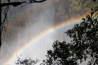 An den Viktoriafällen in Simbabwe-gewaltig!