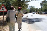 Spaziergang in Kasane