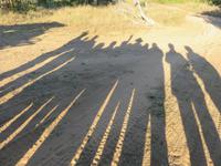 Pirschfahrt im Chobe Nationalpark - Unsere Gruppe
