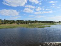 Bootsfahrt auf dem Chobe-River -
