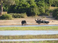 Bootsfahrt auf dem Chobe-River -