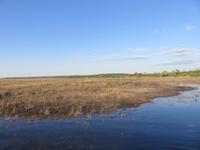 Bootsfahrt auf dem Chobe-River -