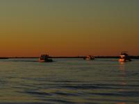 Bootsfahrt auf dem Chobe-River - Sonnenuntergang